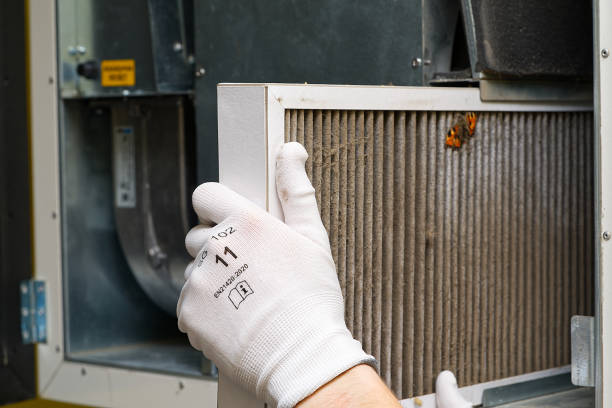 Best Emergency Air Duct Cleaning  in West Rancho Dominguez, CA